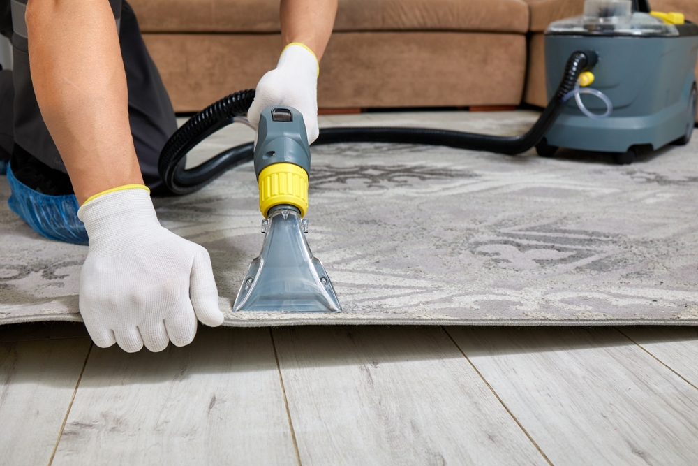 Close-up,Shot,Of,A,Professional,Carpet,Cleaning,In,An,Expansive