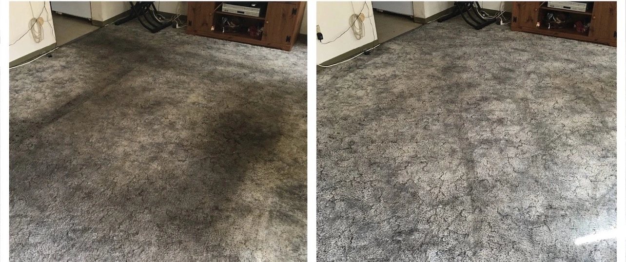 nettoyage tapis avant après Lyon 4